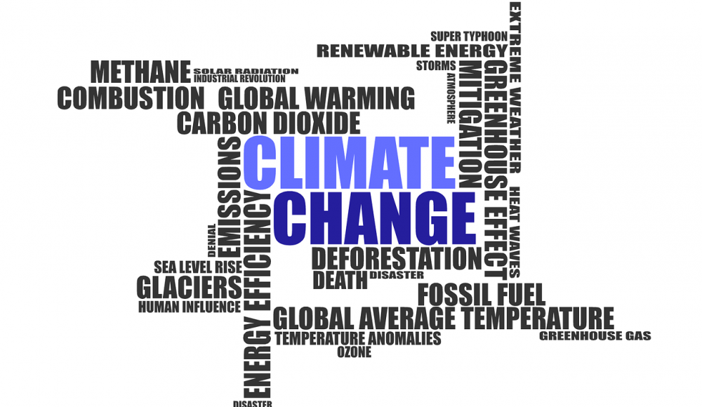 Climate Sector Creates Endless Business Opportunities